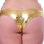 Pink, Blue, Gold or Silver Metallic Knickers Swatch